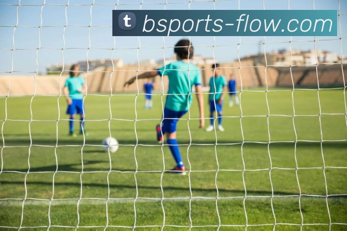 B体育平台生态图